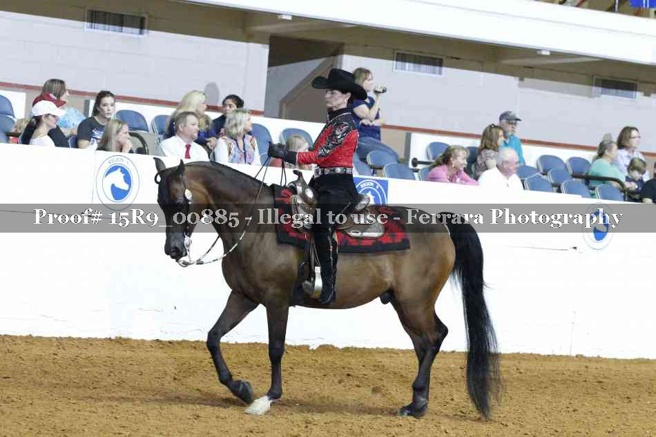 Proof 15R9_00885