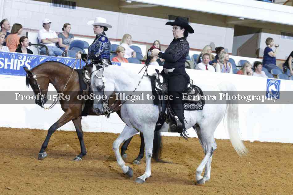 Proof 15R9_00890