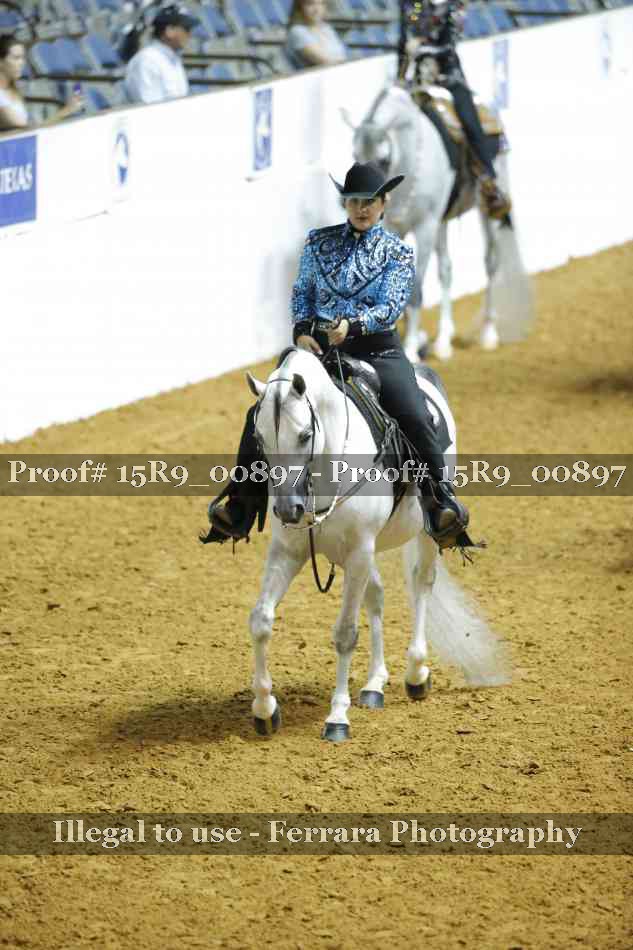 Proof 15R9_00897
