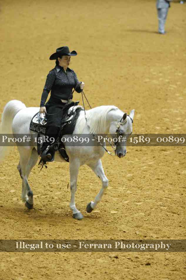 Proof 15R9_00899