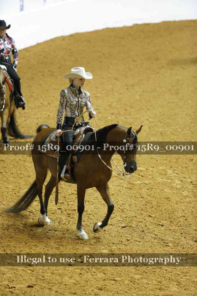 Proof 15R9_00901