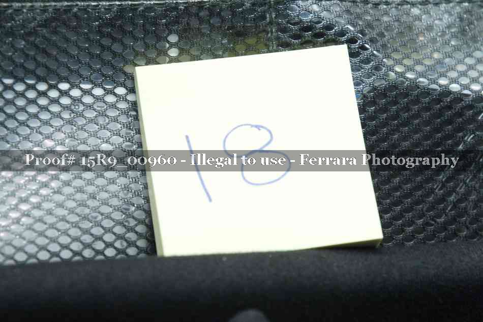 Proof 15R9_00960