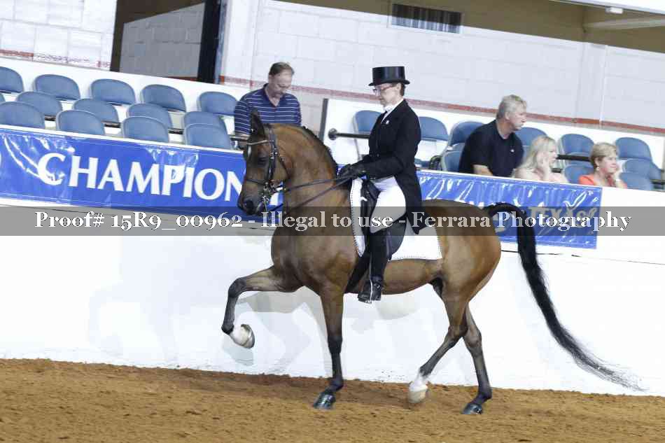 Proof 15R9_00962