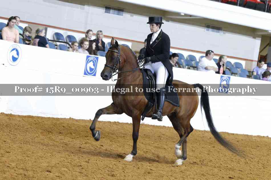 Proof 15R9_00963