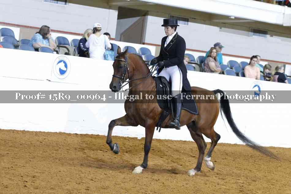 Proof 15R9_00964