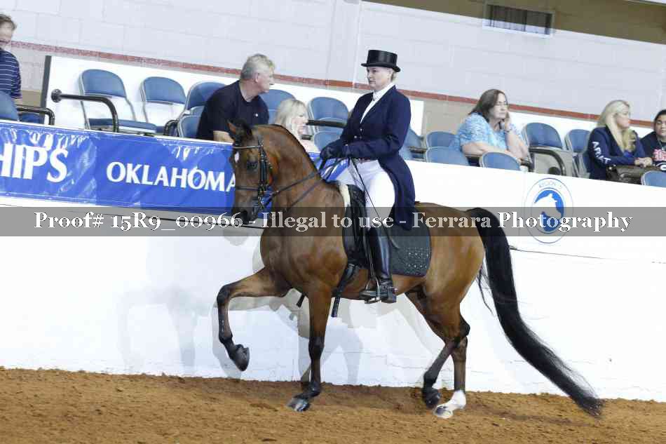 Proof 15R9_00966