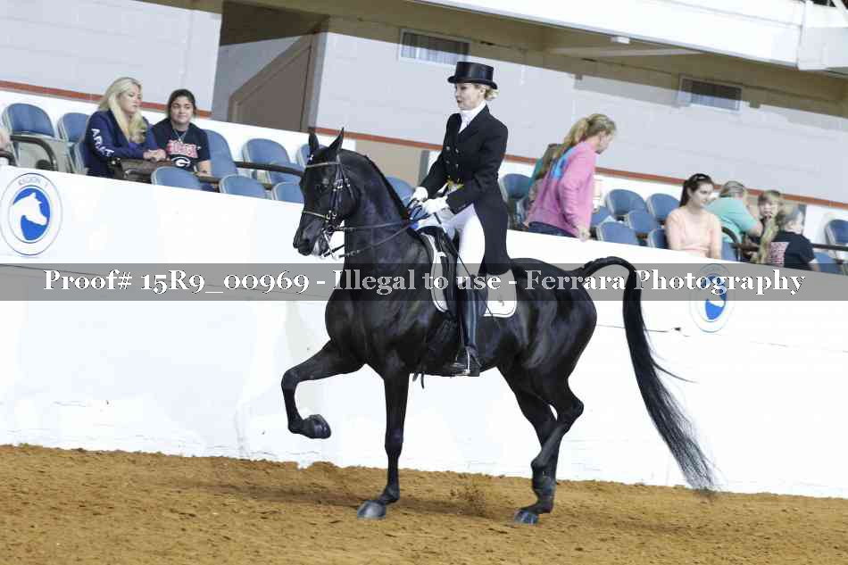 Proof 15R9_00969