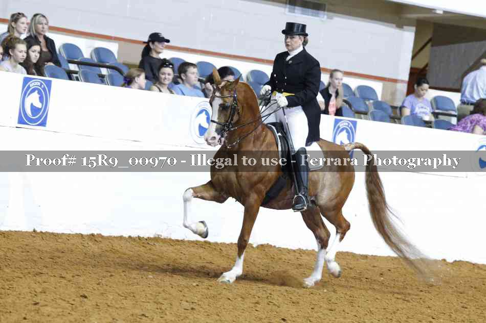 Proof 15R9_00970