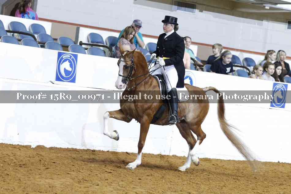Proof 15R9_00971