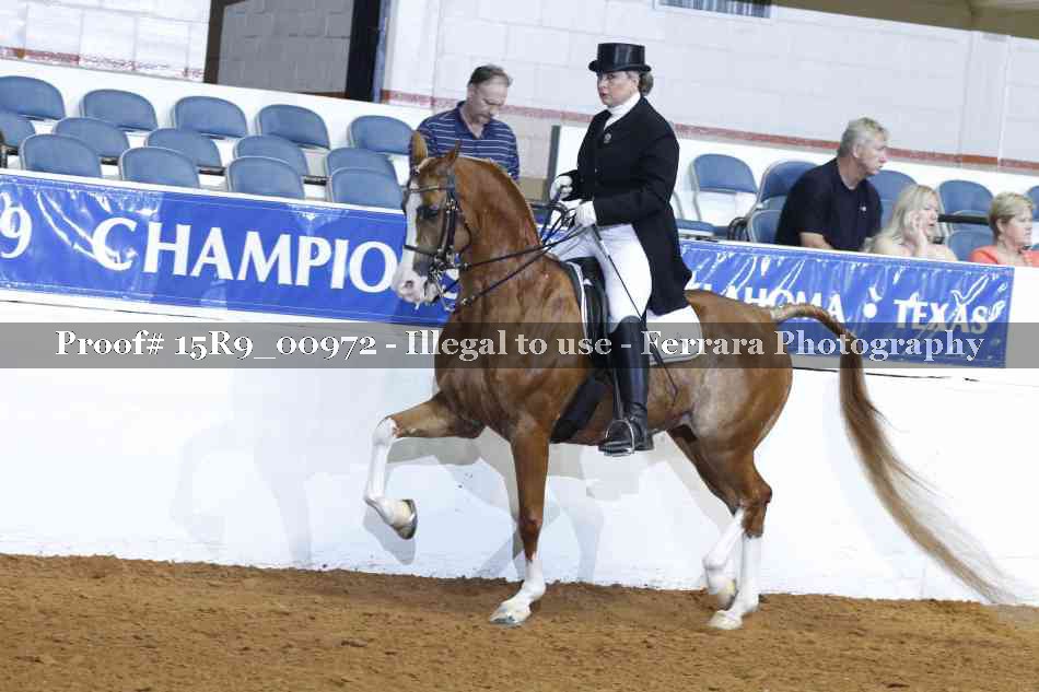Proof 15R9_00972