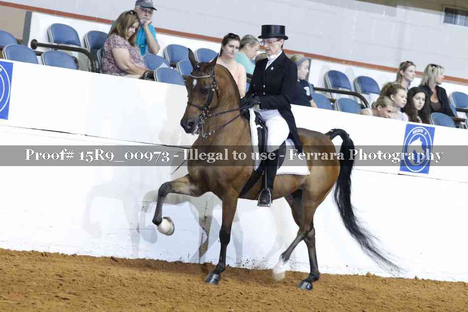 Proof 15R9_00973