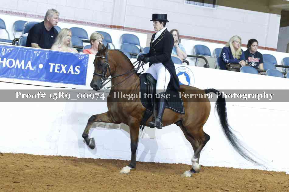Proof 15R9_00974