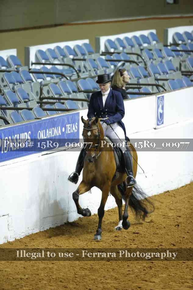 Proof 15R9_00977