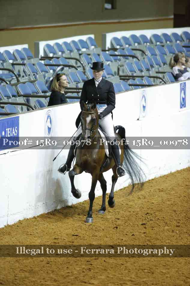 Proof 15R9_00978
