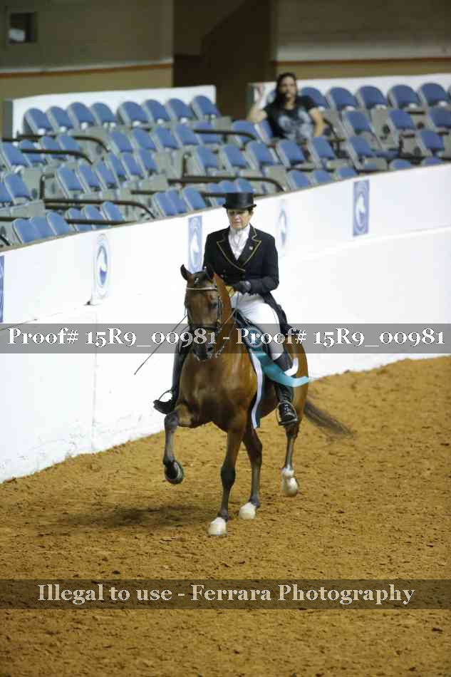Proof 15R9_00981