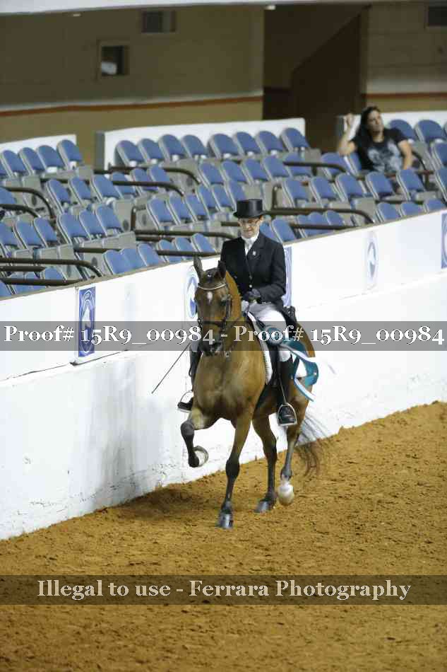 Proof 15R9_00984