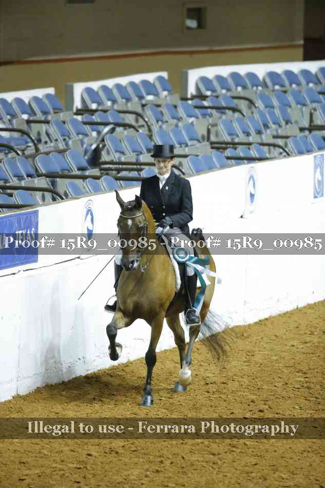 Proof 15R9_00985
