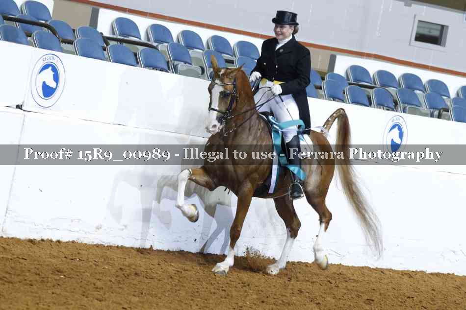 Proof 15R9_00989