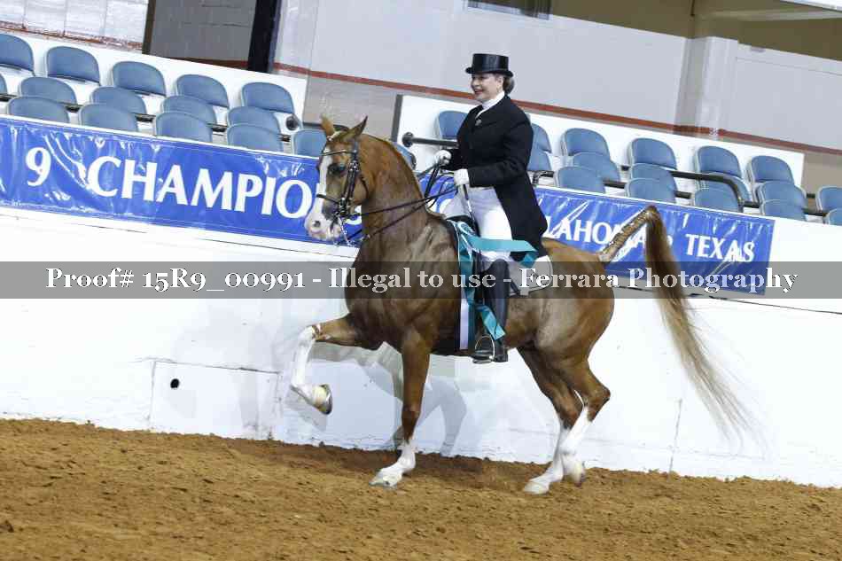 Proof 15R9_00991