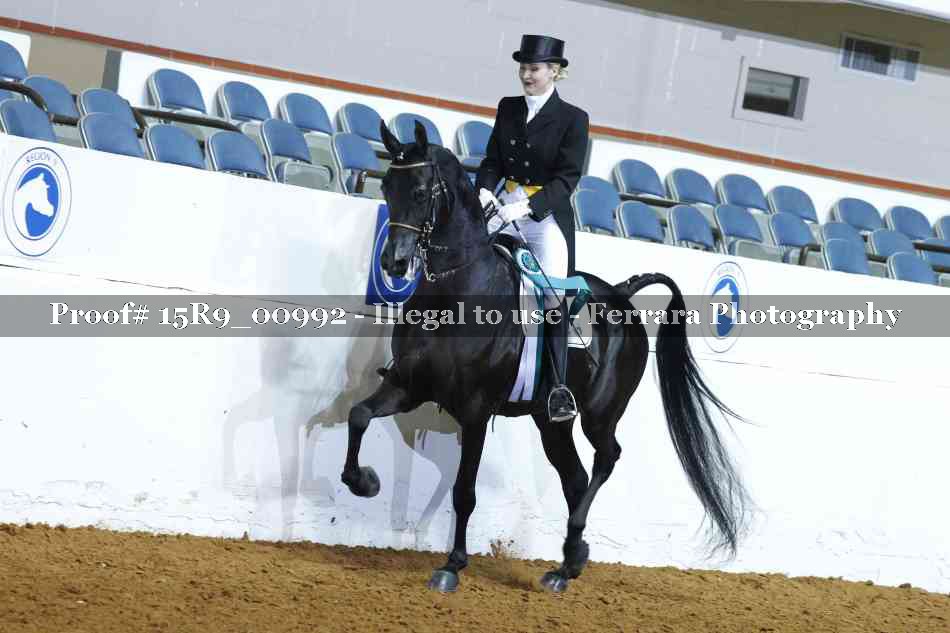 Proof 15R9_00992