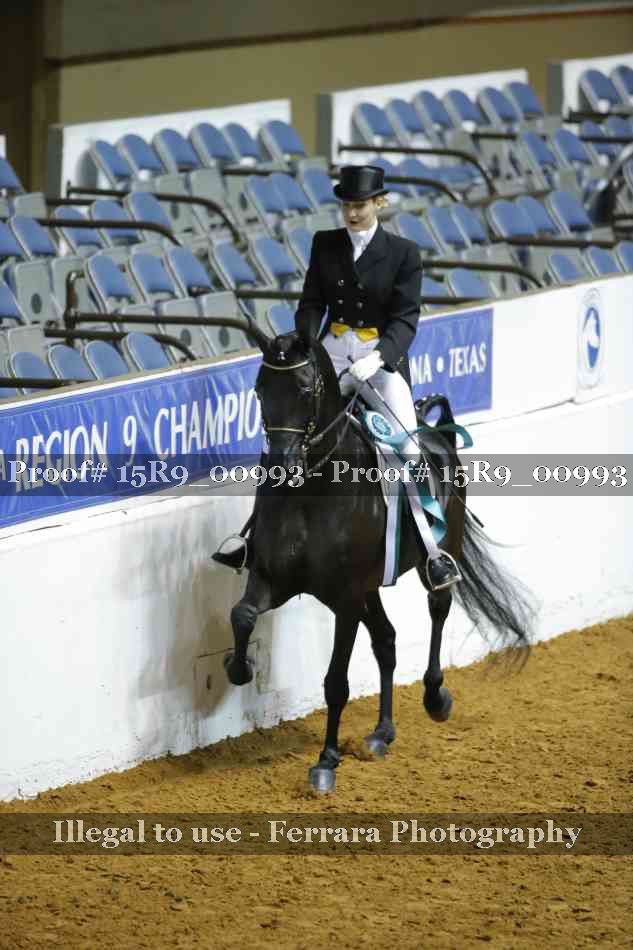 Proof 15R9_00993