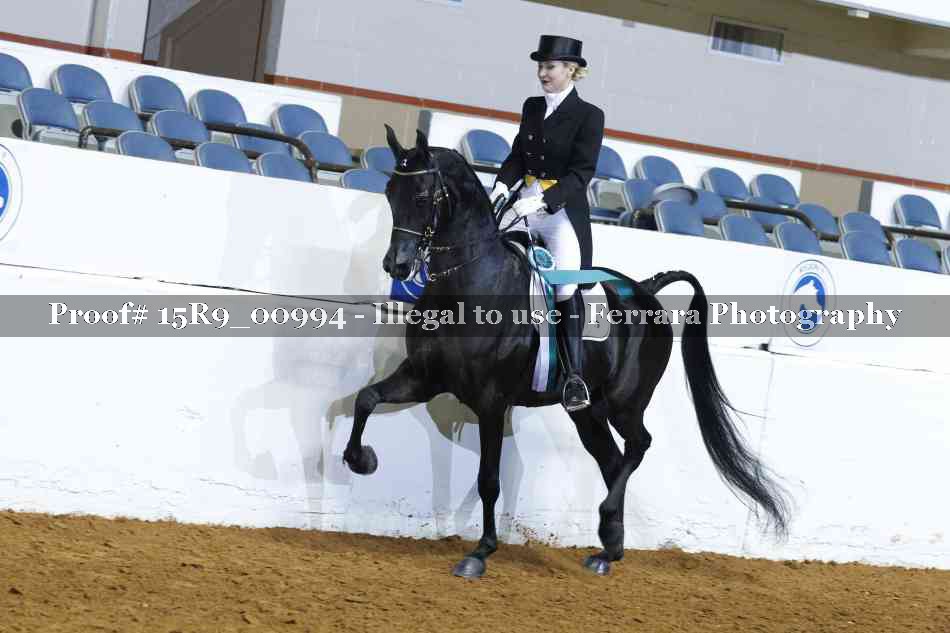 Proof 15R9_00994