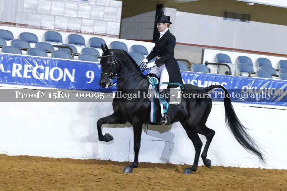Proof 15R9_00995