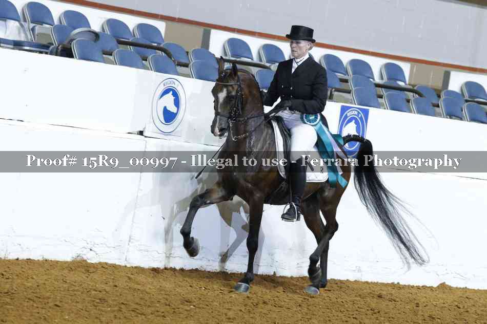 Proof 15R9_00997