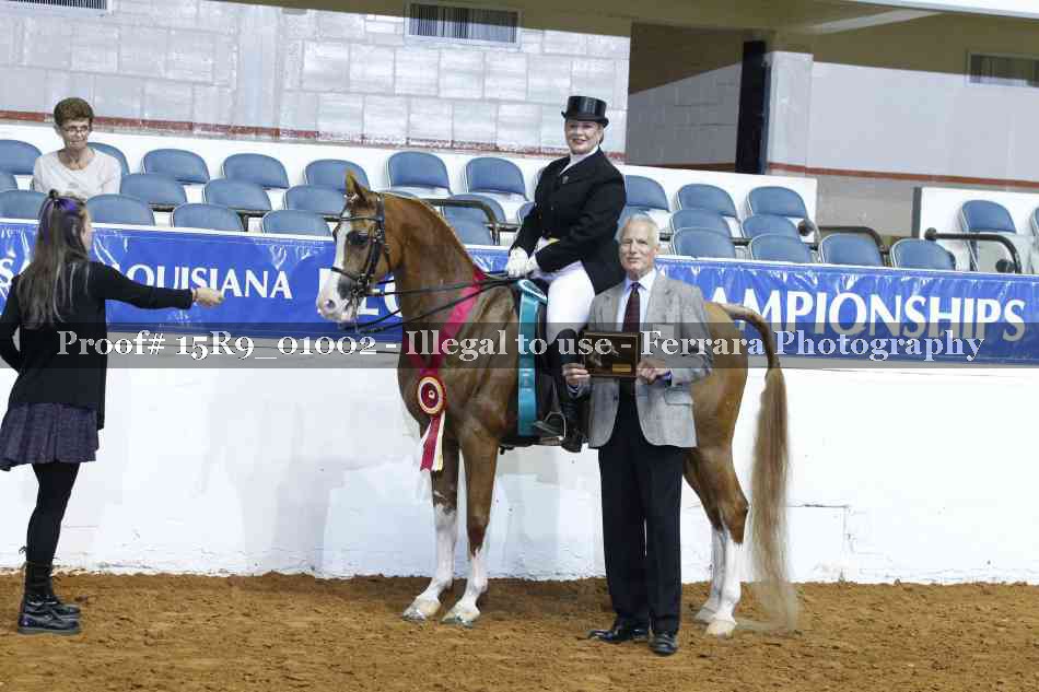 Proof 15R9_01002