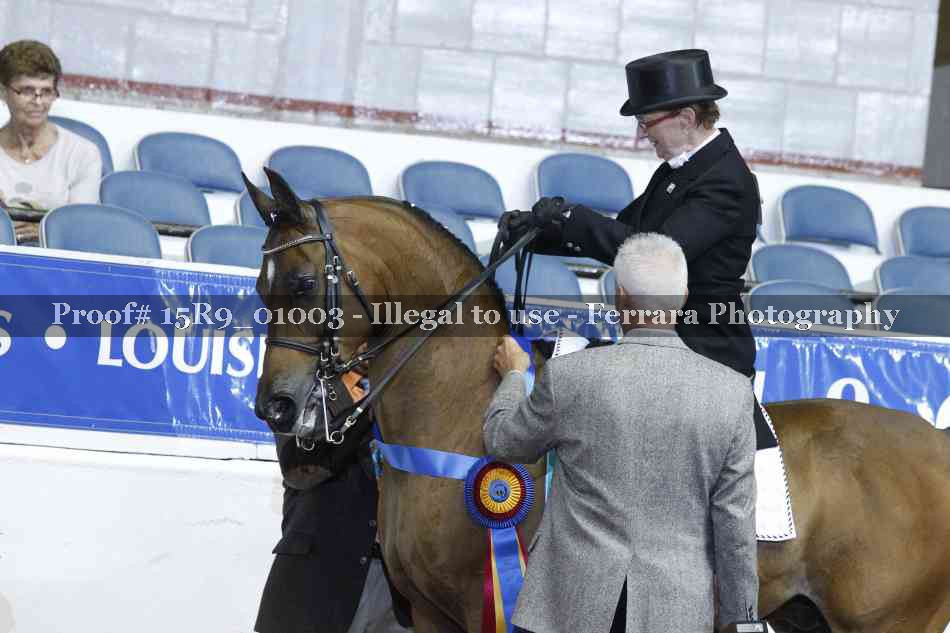 Proof 15R9_01003