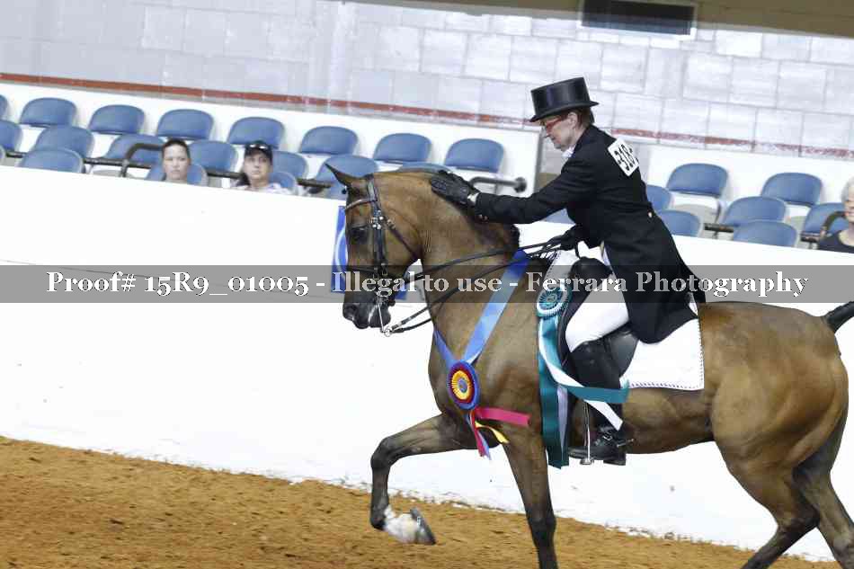 Proof 15R9_01005