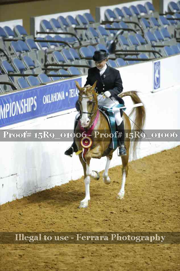 Proof 15R9_01006