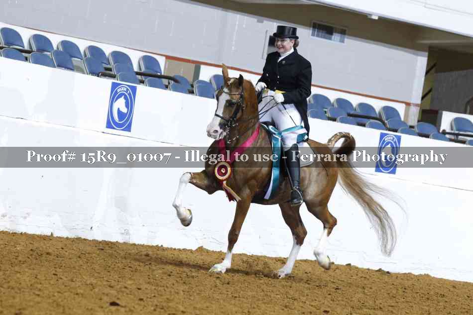 Proof 15R9_01007