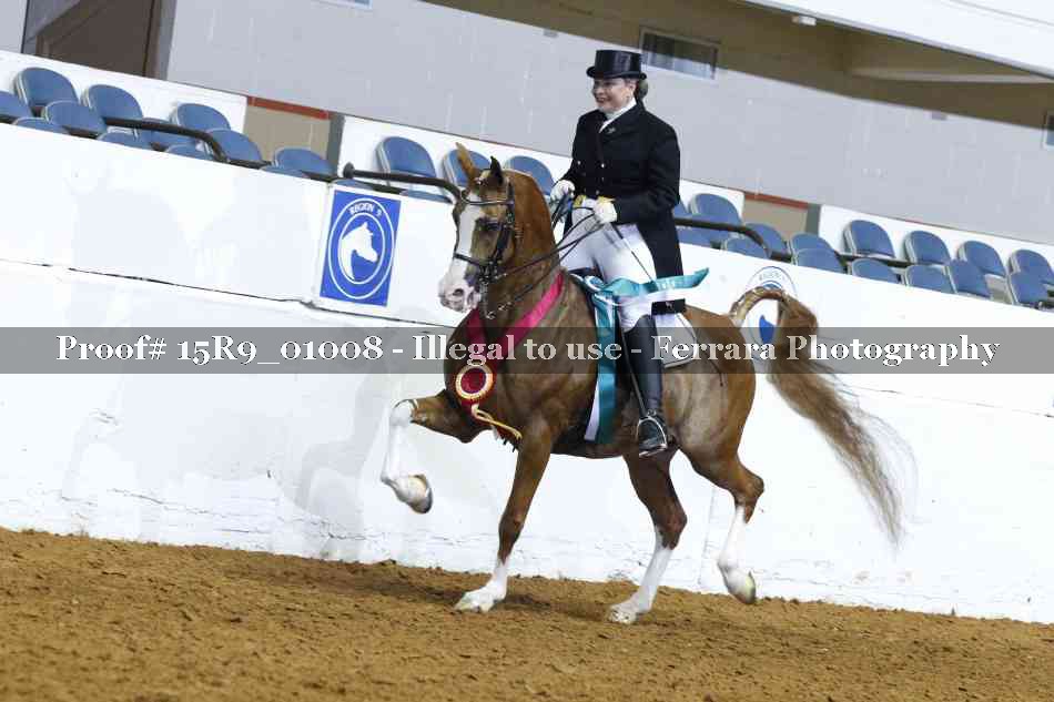 Proof 15R9_01008
