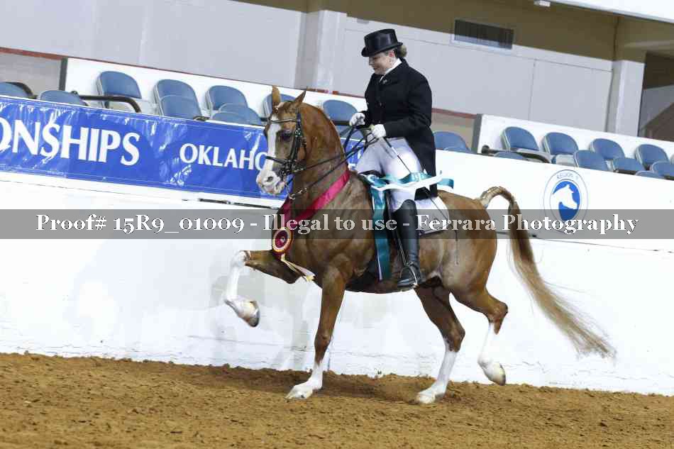Proof 15R9_01009
