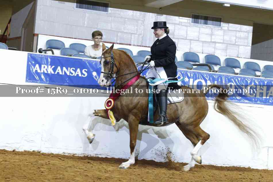 Proof 15R9_01010