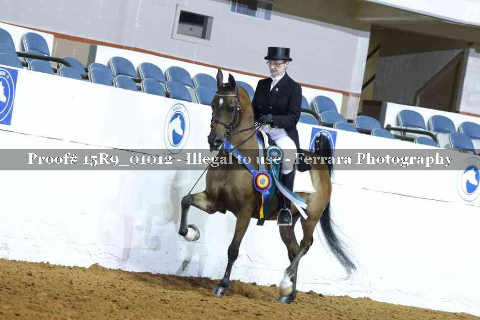 Proof 15R9_01012