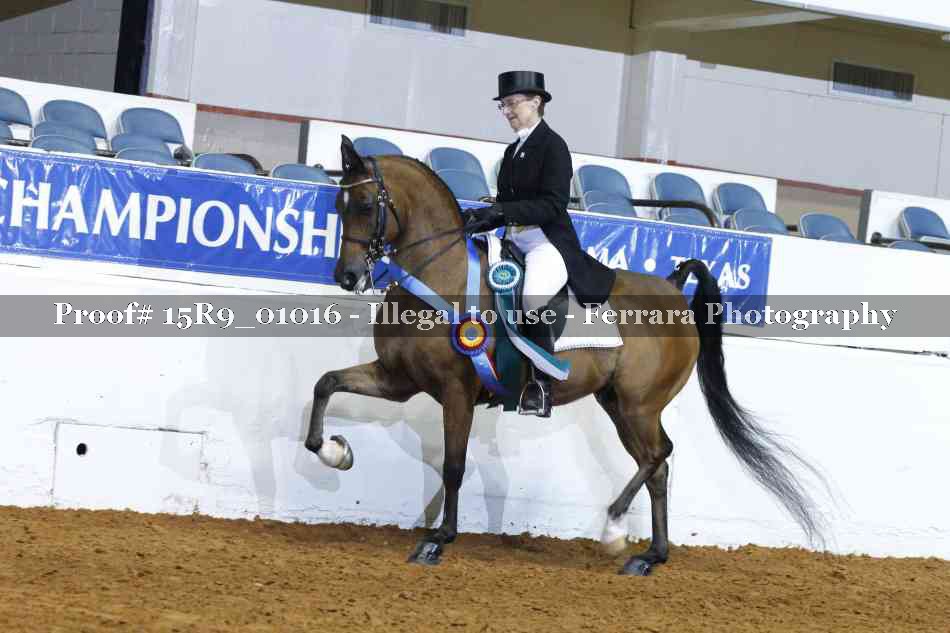 Proof 15R9_01016