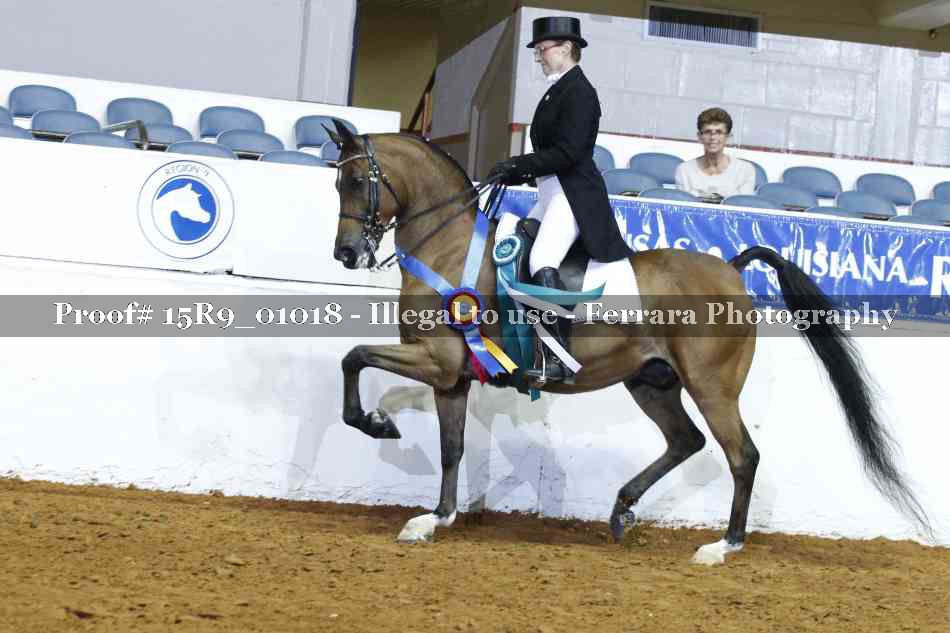 Proof 15R9_01018