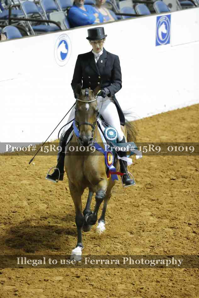 Proof 15R9_01019