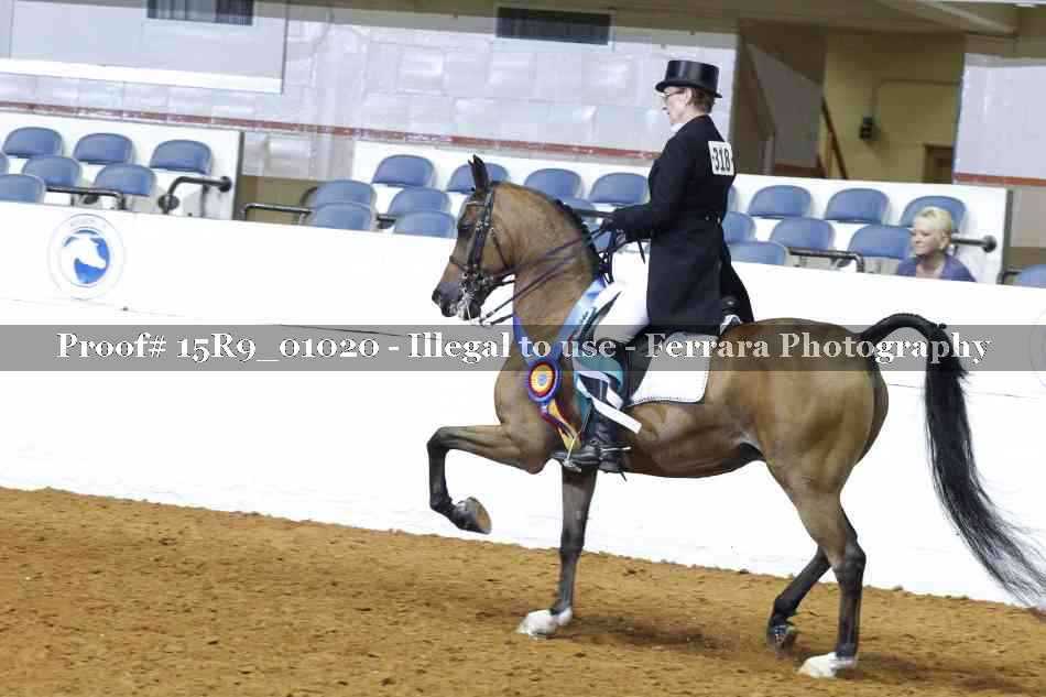 Proof 15R9_01020