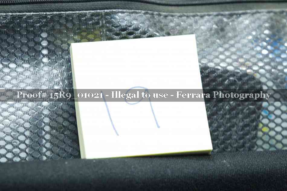 Proof 15R9_01021