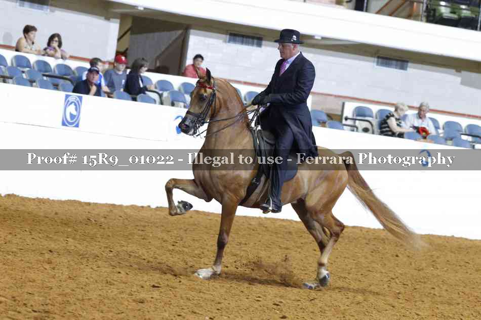 Proof 15R9_01022