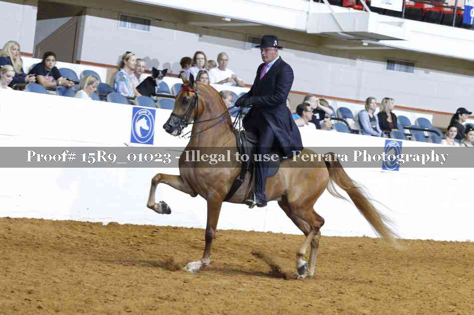 Proof 15R9_01023