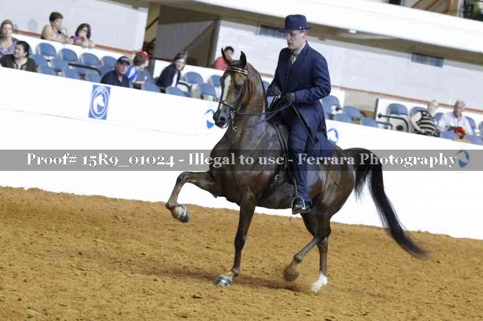 Proof 15R9_01024