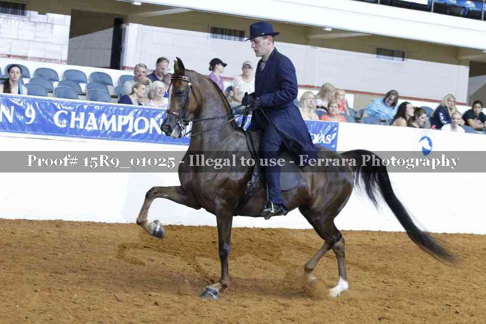 Proof 15R9_01025