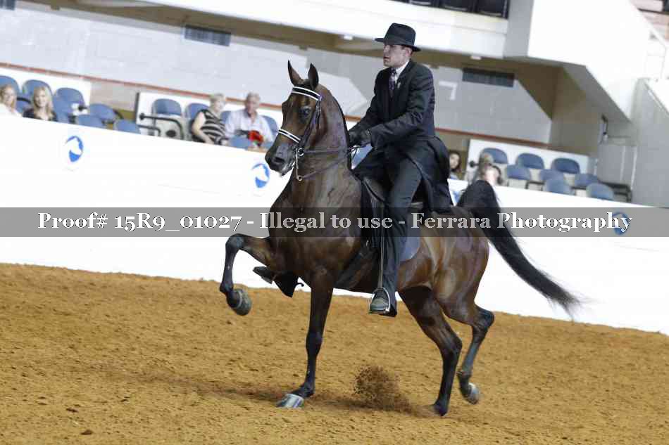 Proof 15R9_01027
