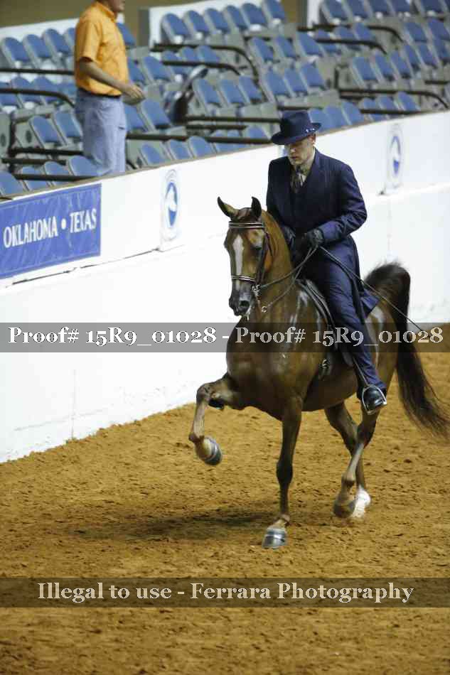 Proof 15R9_01028