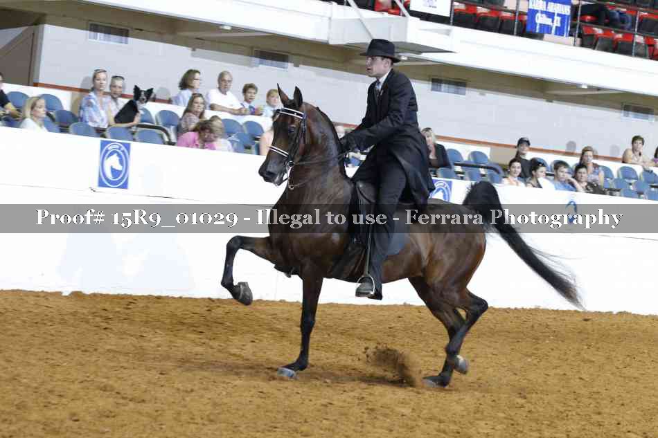 Proof 15R9_01029