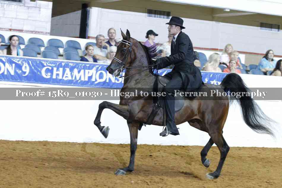 Proof 15R9_01030